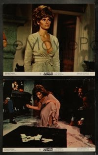 7z277 LADY IN CEMENT 8 color 11x14 stills 1968 Sinatra with a .45 & Raquel Welch with a 37-22-35!