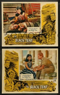 7z079 BLACK TENT 8 English LCs 1957 soldier Anthony Steele marries the Sheik's daughter, cool art!