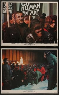 7z125 CONQUEST OF THE PLANET OF THE APES 8 LCs 1972 Roddy McDowall, the revolt of the apes!