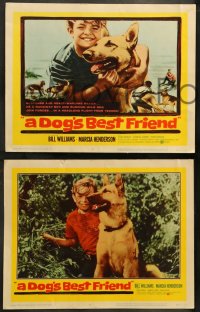 7z150 DOG'S BEST FRIEND 8 LCs 1959 great close up of boy & his German Shepherd dog!