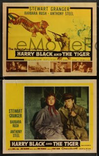 7z217 HARRY BLACK & THE TIGER 8 LCs 1958 young boy between Stewart Granger & pretty Barbara Rush!