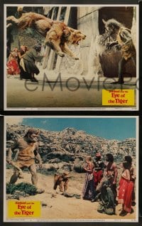 7z422 SINBAD & THE EYE OF THE TIGER 8 LCs 1977 Patrick Wayne, Taryn Power, Jane Seymour, fantasy!