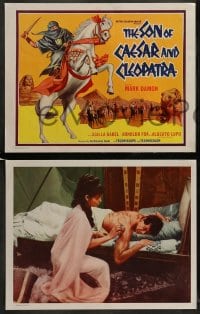 7z029 SON OF CAESAR & CLEOPATRA 9 LCs 1964 Mark Damon, Baldi's Il Figlio Di Cleopatra!