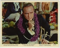 8a024 MUTINY ON THE BOUNTY color 8x10 still #9 1962 great close up of Marlon Brando wearing lei!