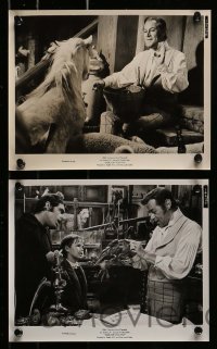 8h270 DOCTOR DOLITTLE 14 from 8x10.25 to 8.25x10 stills 1967 Rex Harrison speaks with animals!