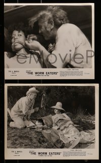 8h758 WORM EATERS 5 from 8x9.75 to 8x10 stills 1977 Ted V. Mikels gross-out classic, wacky images!
