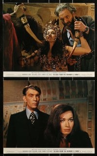 8h058 BLOOD FROM THE MUMMY'S TOMB 7 color English FOH LCs 1972 Hammer, Andrew Keir, Valerie Leon!