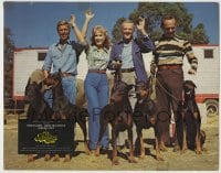 8k391 AMAZING DOBERMANS LC 1976 Fred Astaire, sexy Barbara Eden, James Franciscus & cool dogs!