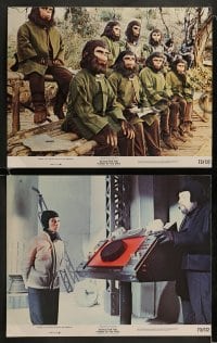 8w894 BATTLE FOR THE PLANET OF THE APES 3 color 11x14 stills 1973 Roddy McDowall, sci-fi sequel!
