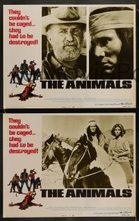 8w062 ANIMALS 8 LCs 1970 native American Indian Henry Silva, grizzled Keenan Wynn, Michele Carey!