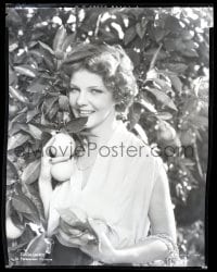 9m505 ELISSA LANDI 8x10 negative 1930s the beautiful actress picking fresh oranges off tree!