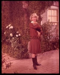 9m384 DO NOT DISTURB 4x5 transparency 1965 c/u of Doris Day full-length holding a red fox!