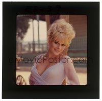 9m460 ELKE SOMMER group of 8 3x3 transparencies 1968 sexy portraits when she made Wrecking Crew!