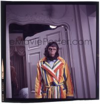 9m466 ESCAPE FROM THE PLANET OF THE APES 3x3 transparency 1971 great image of ape Roddy McDowall!