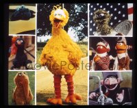 9m396 FOLLOW THAT BIRD 4x5 transparency 1985 montage of the Big Bird & the Sesame Street cast!