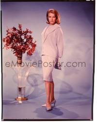 9m258 MOMENT TO MOMENT 8x10 transparency 1965 full-length portrait of pretty Honor Blackman!