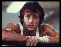 9m303 ROCKY II group of 6 4x5 transparencies 1979 Sylvester Stallone, Shire, Weathers, boxing!