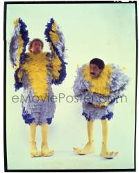 9m273 STIR CRAZY 8x10 transparency 1980 Gene Wilder & Richard Pryor in chicken suits, 1sheet image!