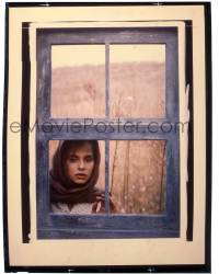 9m276 TESS 8x10 transparency 1979 Roman Polanski, one-sheet image of Nastassja Kinski in window!
