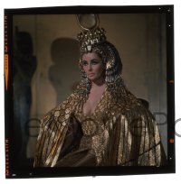 9m461 CLEOPATRA group of 4 3x3 transparencies 1963 sexy Elizabeth Taylor in different costumes!