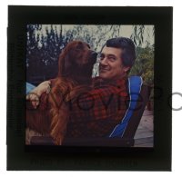9m463 ROCK HUDSON group of 2 3x3 transparencies 1970s great portraits with his dog & classic car!