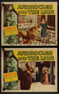 9r775 ANDROCLES & THE LION 3 LCs 1952 Victor Mature, beautiful Jean Simmons, border art of big cat!