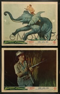 9r557 ELEPHANT STAMPEDE 6 LCs 1951 Johnny Sheffield as Bomba the Jungle Boy!