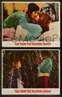 9r134 FAR FROM THE MADDING CROWD 8 LCs 1968 Julie Christie, Terence Stamp, Peter Finch!