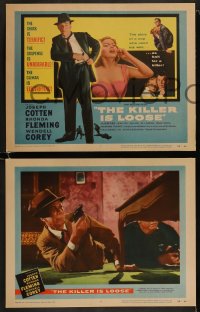 9r223 KILLER IS LOOSE 8 LCs 1956 Budd Boetticher directed, Joseph Cotten & Rhonda Fleming!