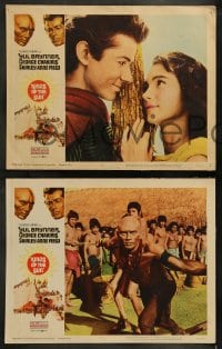 9r227 KINGS OF THE SUN 8 LCs 1963 images of Mayan Yul Brynner, George Chakiris, Shirley Anne Field!