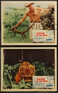 9r278 NATURE IN THE RAW 8 LCs 1960s Capt. Wallace Caswell Jr., great images, all adventure show!