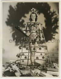 9x067 FRANCES RAFFERTY deluxe 10x13 still 1944 posing within X-mas tree by Clarence Sinclair Bull!