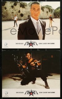 9z078 BLACK EAGLE 8 color English FOH LCs 1988 Jean-Claude Van Damme, Sho Kosugi, martial arts!