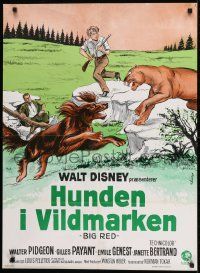 1f472 BIG RED Danish 1971 Disney, different artwork of Irish Setter dog & mountain lion!