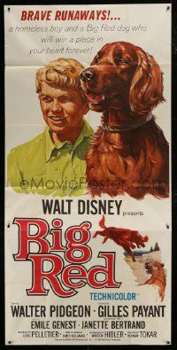 1g660 BIG RED 3sh 1962 Disney, Walter Pigeon, great portrait artwork of boy & Irish Setter dog!