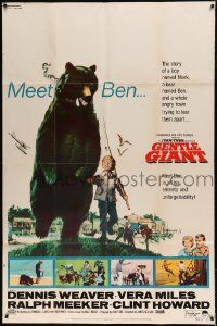 1g016 GENTLE GIANT 40x60 1967 Dennis Weaver, great full-length art of boy with big grizzly bear!
