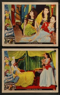 1k854 DESERT HAWK 2 LCs 1950 romantic Richard Greene and sexiest Yvonne De Carlo, action!