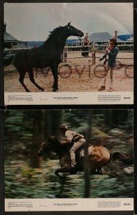 1k634 MAN FROM SNOWY RIVER 4 color 11x14 stills 1982 Tom Burlinson, Kirk Douglas in a dual role!