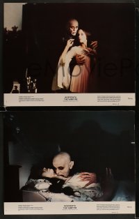 1k242 NOSFERATU THE VAMPYRE 8 color 11x14 stills 1979 Klaus Kinski, directed by Werner Herzog!