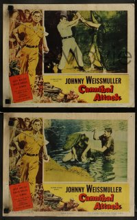 1k386 CANNIBAL ATTACK 7 LCs 1954 border art of Johnny Weissmuller w/knife + cool images!