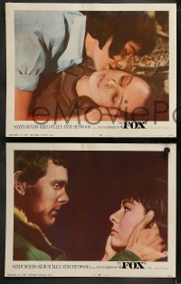 1k129 FOX 8 LCs 1968 Sandy Dennis, Kier Dullea, Anne Heywood in love triangle!