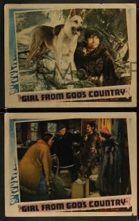 1k528 GIRL FROM GOD'S COUNTRY 5 LCs 1940 Chester Morris, Ace the Dog & Charles Bickford in Alaska!