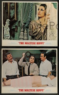 1k205 MALTESE BIPPY 8 LCs 1969 Dan Rowan & Dick Martin, sexy Julie Newmar & Carol Lynley!