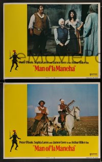 1k210 MAN OF LA MANCHA 8 int'l FOREIGN O'TOOLE LCs 1972 Sophia Loren, story of Don Quixote!