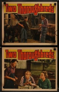 1k673 TWO THOROUGHBREDS 4 LCs 1939 Jimmy Lydon, 14 year old Joan Leslie, horse images!