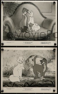 1s668 ARISTOCATS 4 8x10 stills 1981 Walt Disney feline jazz musical cartoon, great colorful image!