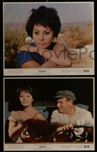 1s005 JUDITH 12 color 8x10 stills 1966 Daniel Mann directed, sexiest Sophia Loren & Peter Finch!