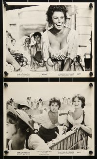 1s271 MADAME SANS GENE 11 8x10 stills R1963 great images of sexy Sophia Loren and Robert Hossein!