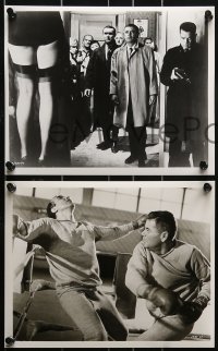 1s545 MONEY TRAP 6 8x10 stills 1965 great images, several with Glenn Ford boxing Ricardo Montalban!