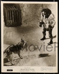 1s167 NIKKI 19 8x10 stills 1961 Walt Disney, James Oliver Curwood, a man & his dog!
